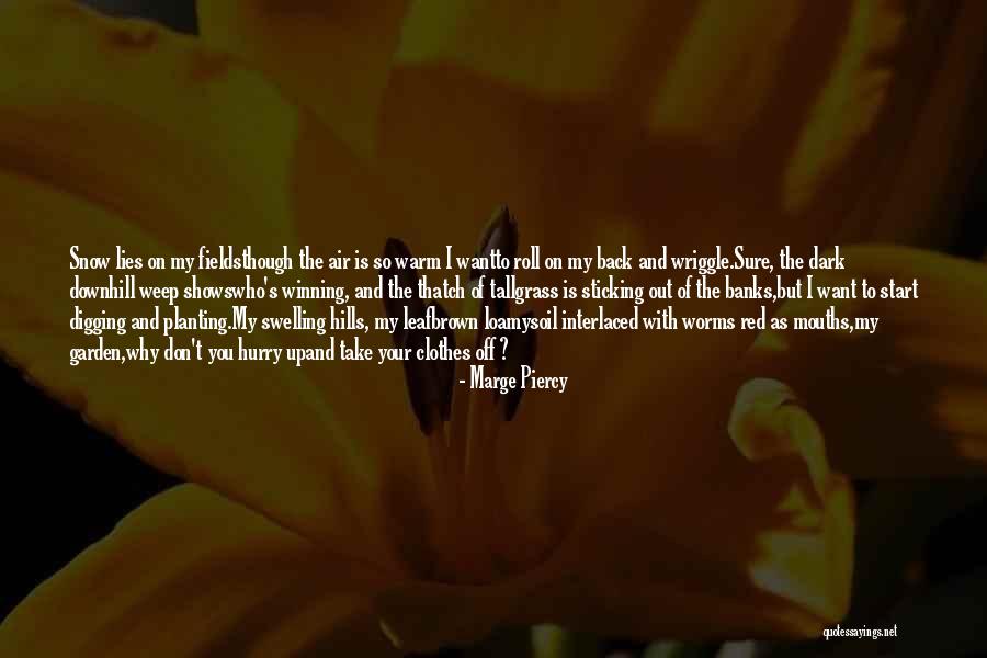 Sure Start Quotes By Marge Piercy Sure Start Quotes By Marge Piercy