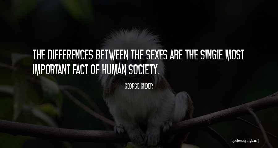 Surealisme Quotes By George Gilder Surealisme Quotes By George Gilder