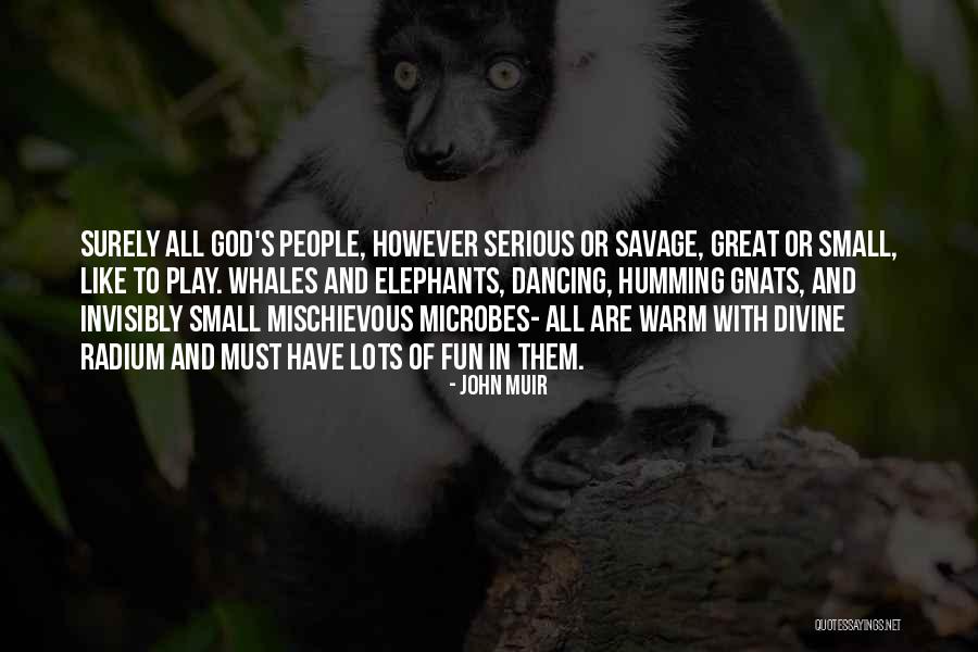 Surely You Cant Be Serious Quotes By John Muir Surely You Cant Be Serious Quotes By John Muir