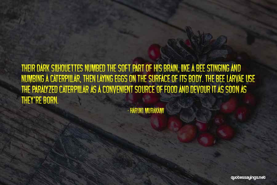 Surface And Source Quotes By Haruki Murakami Surface And Source Quotes By Haruki Murakami
