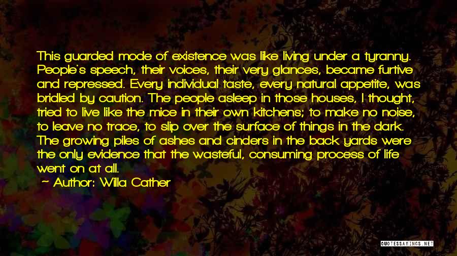 Surface Quotes By Willa Cather