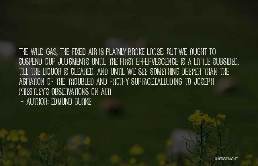 Surface Science Quotes By Edmund Burke