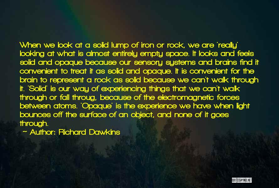 Surface Science Quotes By Richard Dawkins