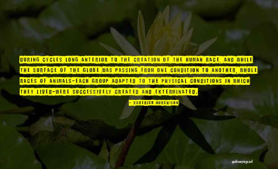 Surface The Group Quotes By Roderick Murchison Surface The Group Quotes By Roderick Murchison