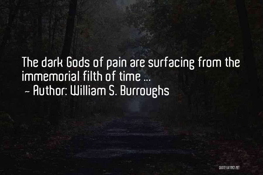 Surfacing Quotes By William S. Burroughs