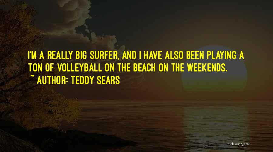 Surfer Quotes By Teddy Sears