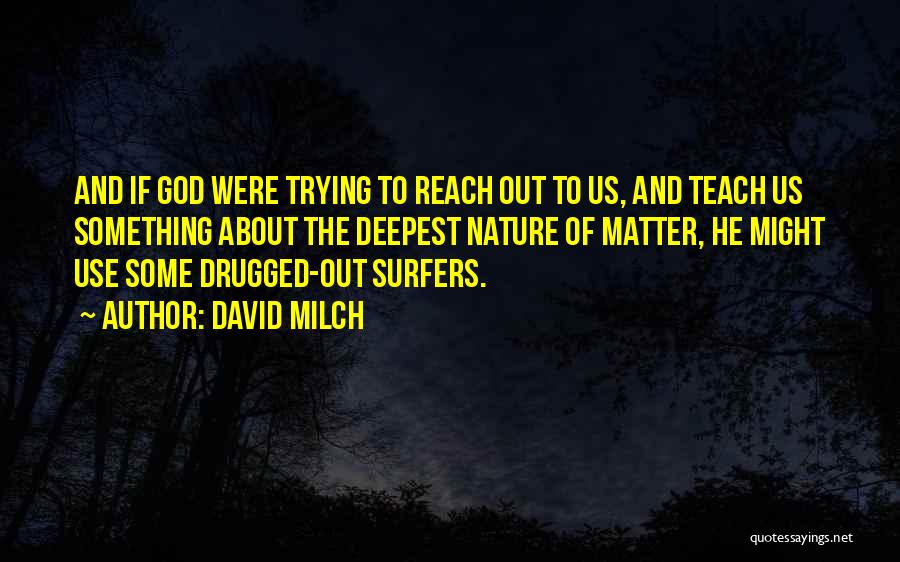 Surfers Quotes By David Milch