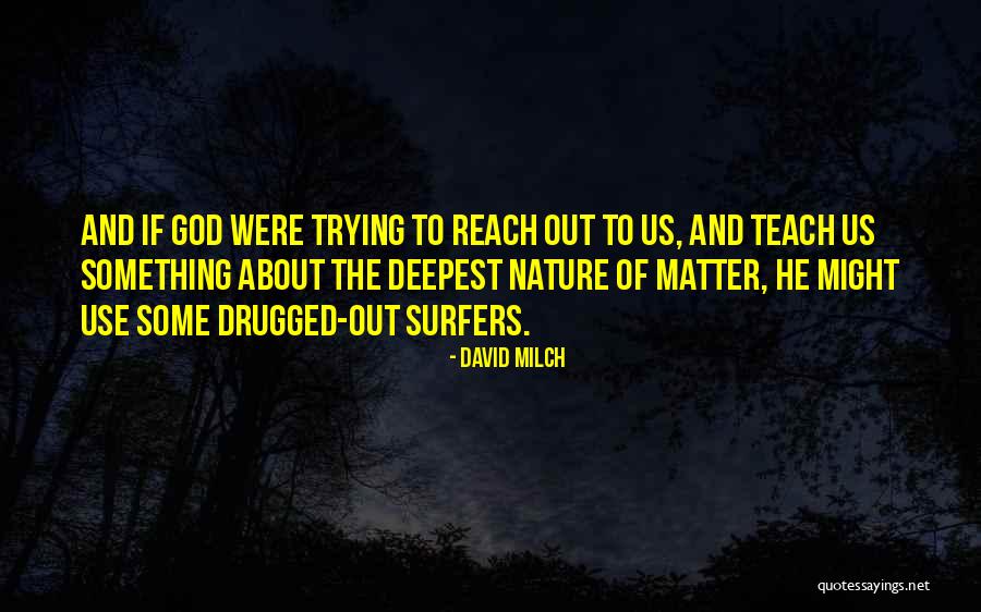 Surfers Quotes By David Milch