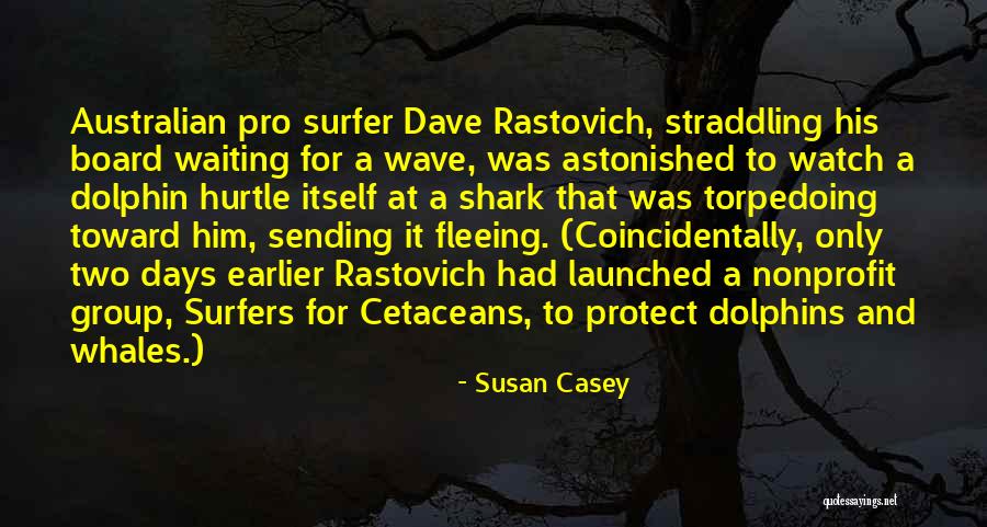 Surfers Quotes By Susan Casey