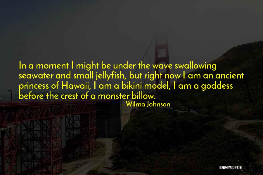 Surfers Quotes By Wilma Johnson