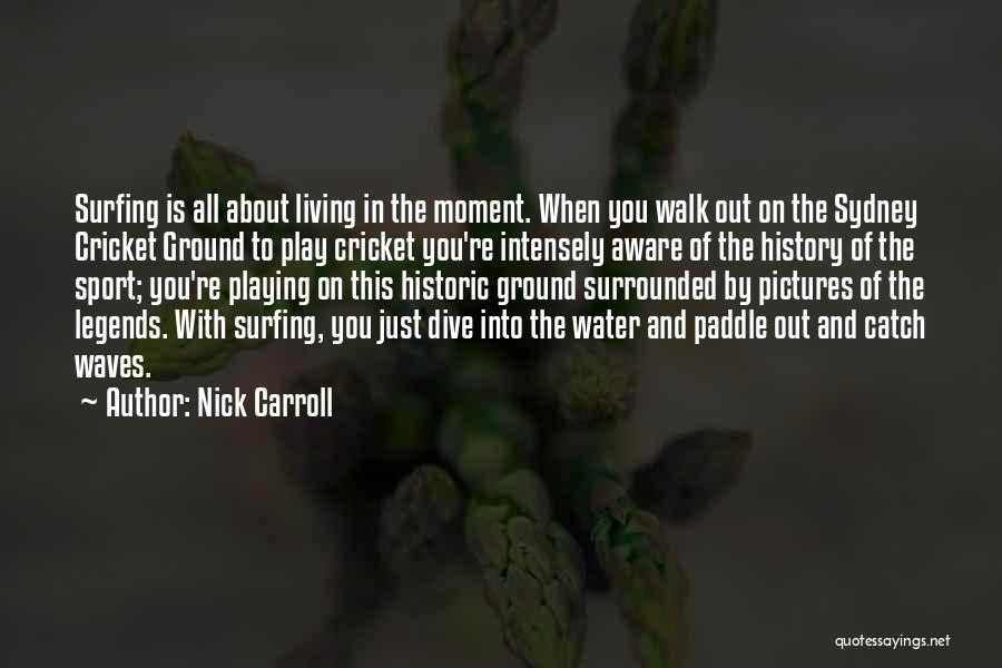 Surfing Waves Quotes By Nick Carroll