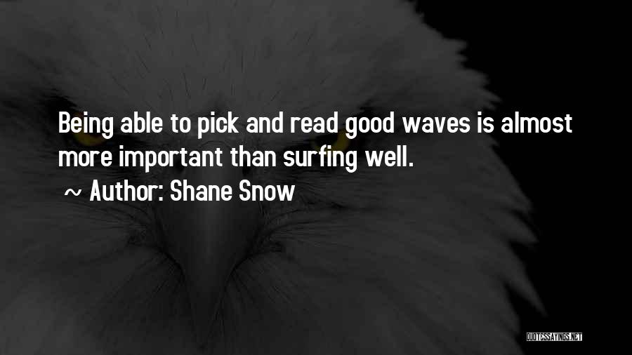 Surfing Waves Quotes By Shane Snow