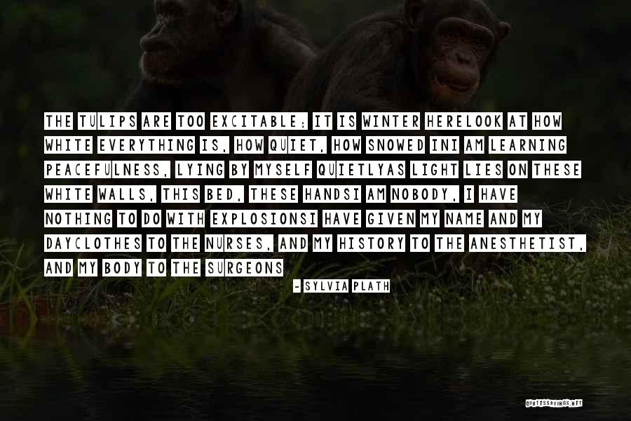 Surgeons Hands Quotes By Sylvia Plath Surgeons Hands Quotes By Sylvia Plath
