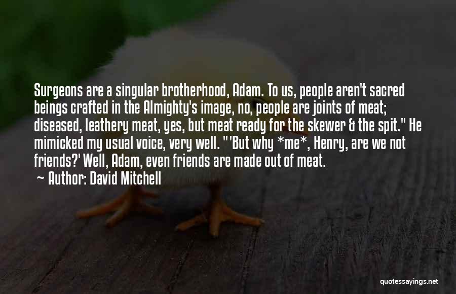 Surgeon's Life Quotes By David Mitchell