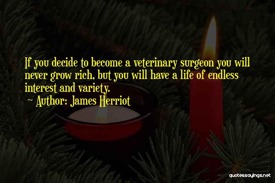 Surgeon's Life Quotes By James Herriot