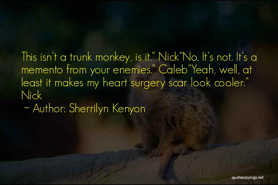 Surgery Scar Quotes By Sherrilyn Kenyon