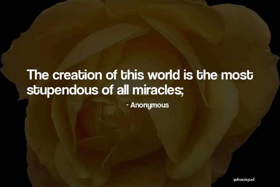 Surikat Photographer Quotes By Anonymous Surikat Photographer Quotes By Anonymous