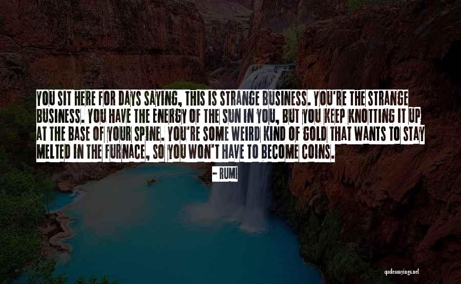 Surikat Photographer Quotes By Rumi Surikat Photographer Quotes By Rumi