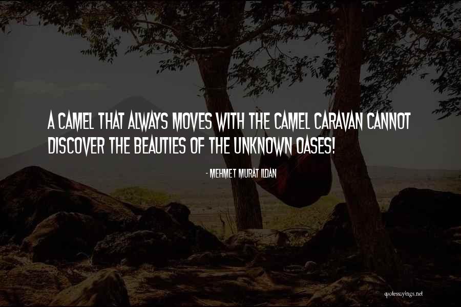 Surkesh Quotes By Mehmet Murat Ildan Surkesh Quotes By Mehmet Murat Ildan