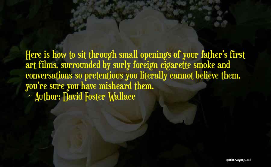 Surly Quotes By David Foster Wallace