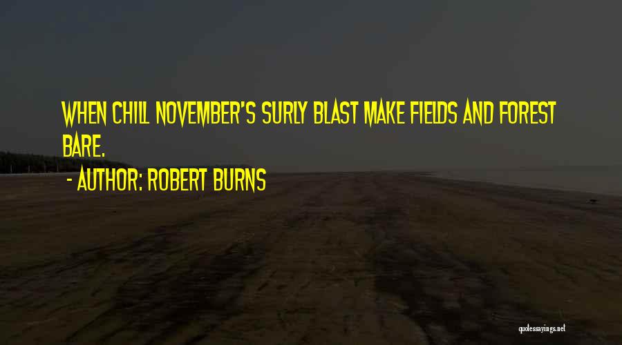 Surly Quotes By Robert Burns