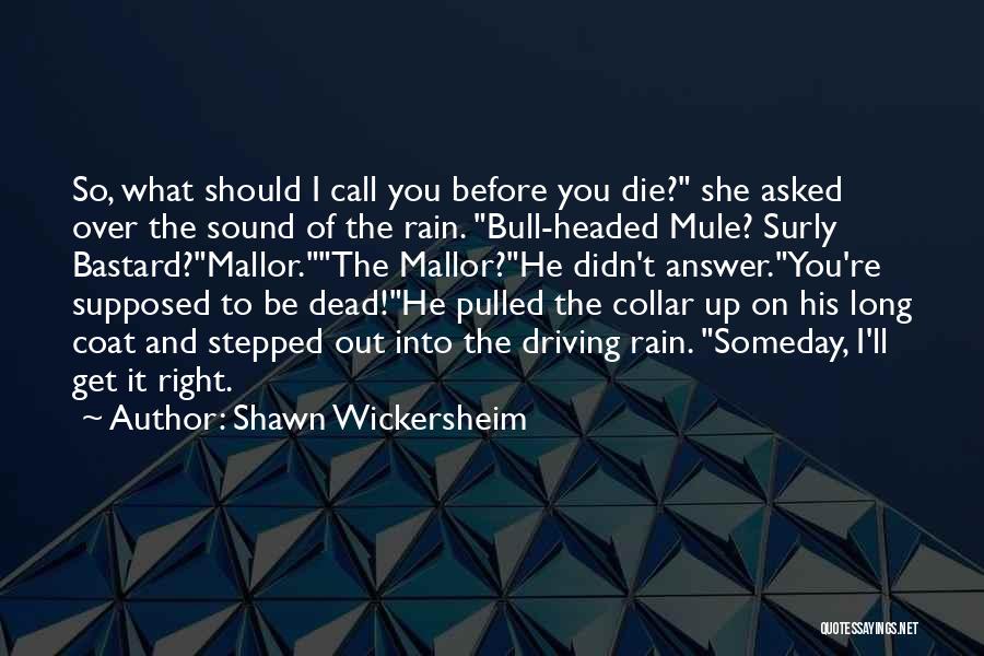 Surly Quotes By Shawn Wickersheim