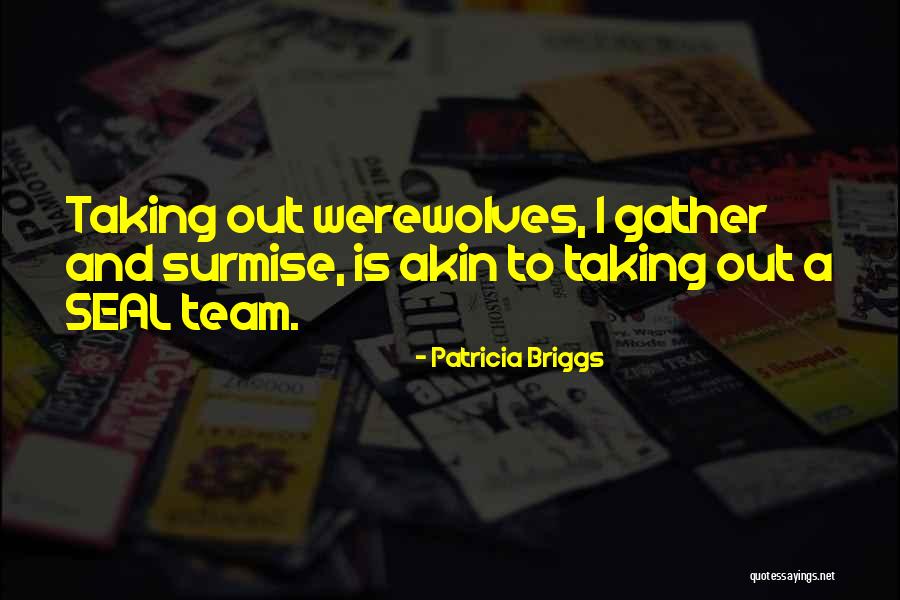 Surmise Quotes By Patricia Briggs