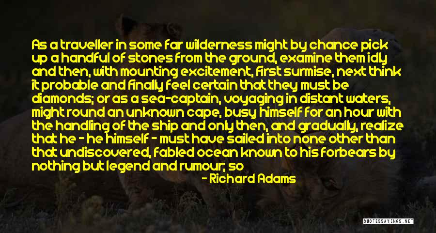 Surmise Quotes By Richard Adams