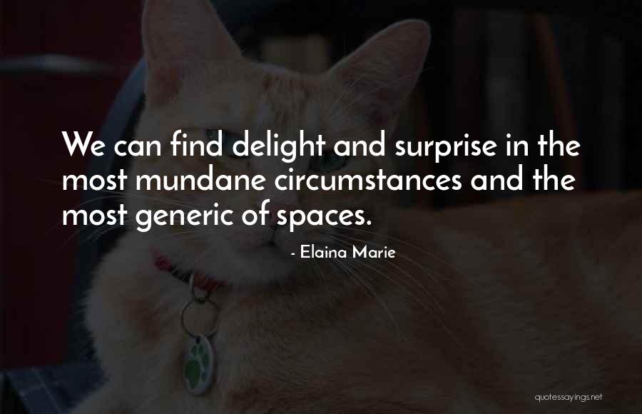 Surprise And Delight Quotes By Elaina Marie