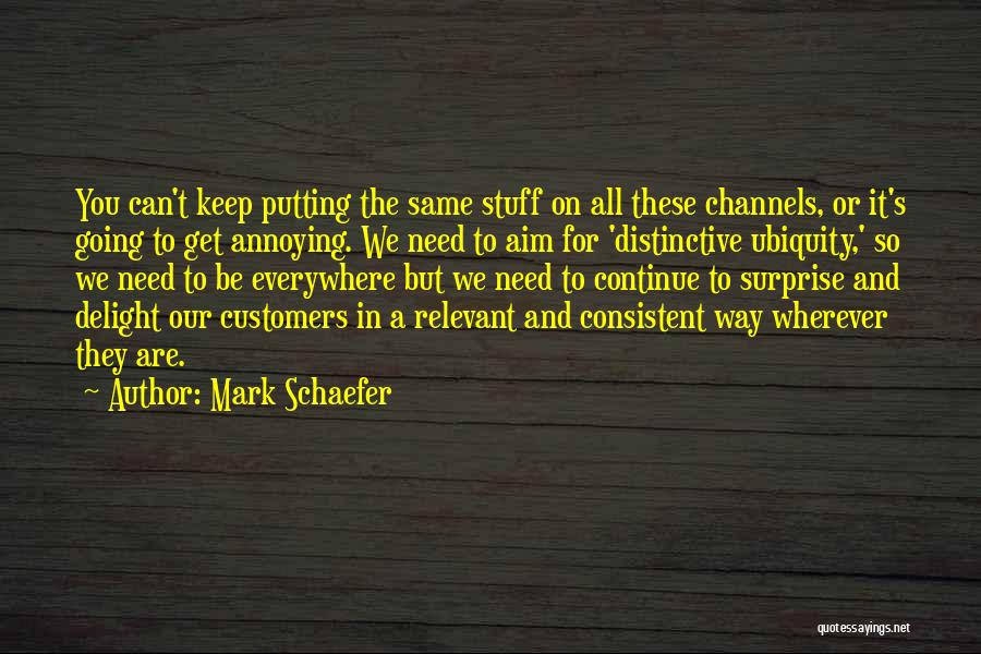 Surprise And Delight Quotes By Mark Schaefer