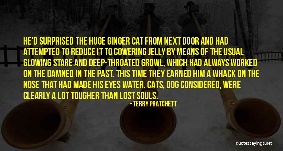 Surprised Cat Quotes By Terry Pratchett