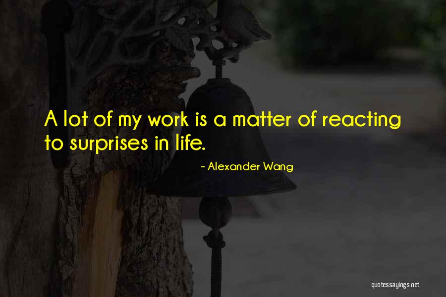 Surprises In Life Quotes By Alexander Wang