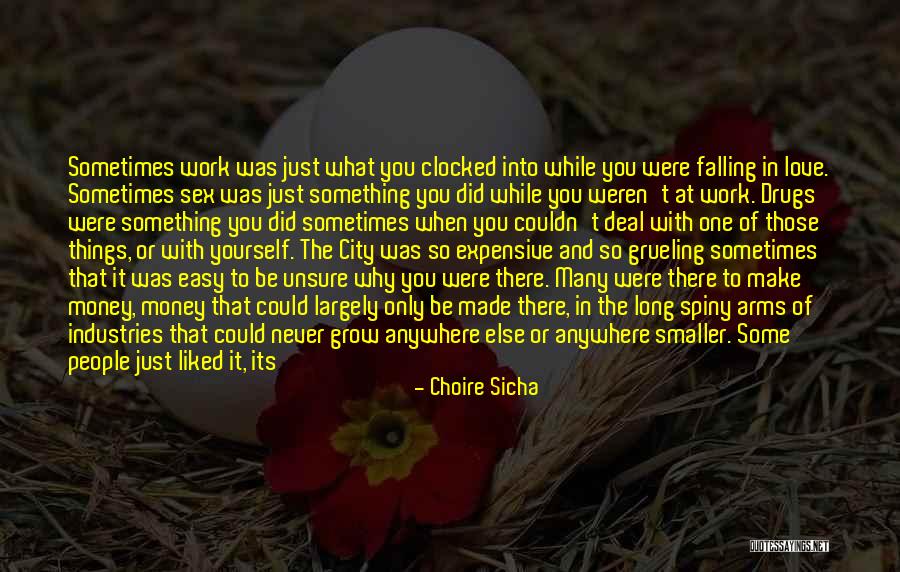 Surprises In Life Quotes By Choire Sicha