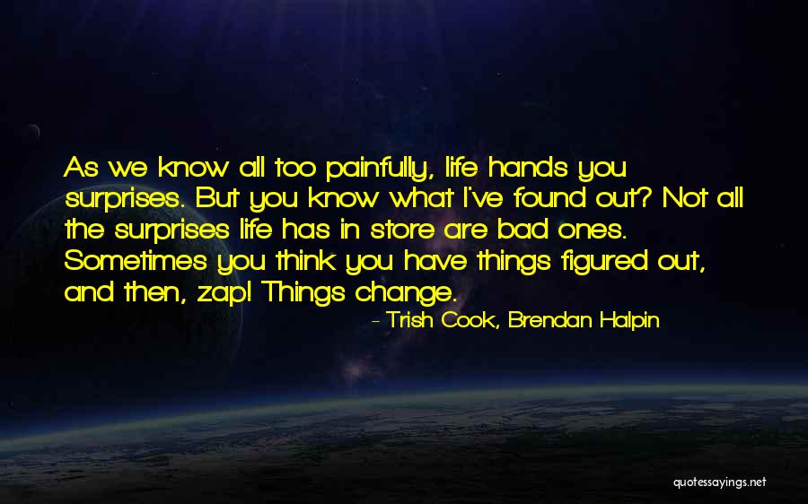 Surprises In Life Quotes By Trish Cook, Brendan Halpin