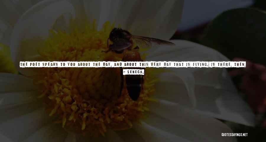 Surprises Of Life Quotes By Seneca. Surprises Of Life Quotes By Seneca.