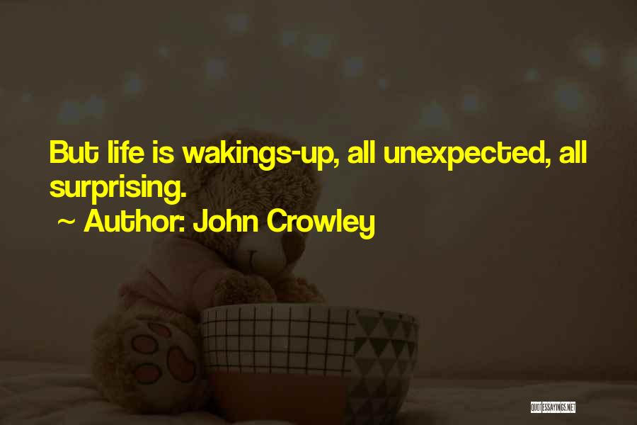 Surprising Quotes By John Crowley