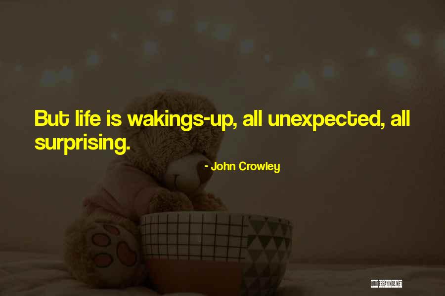 Surprising Quotes By John Crowley