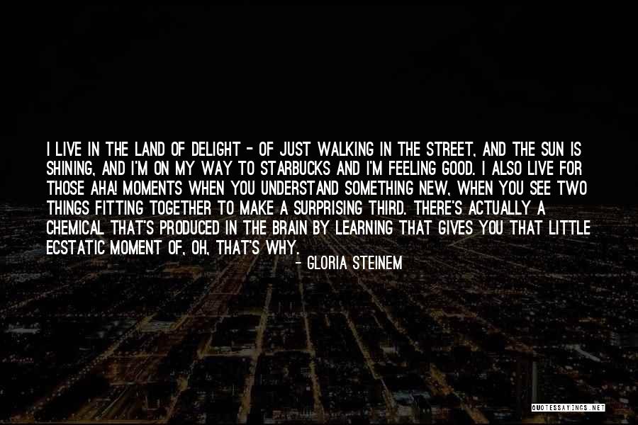 Surprising Things Quotes By Gloria Steinem Surprising Things Quotes By Gloria Steinem
