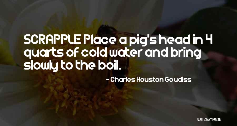 Surprizes Quotes By Charles Houston Goudiss Surprizes Quotes By Charles Houston Goudiss