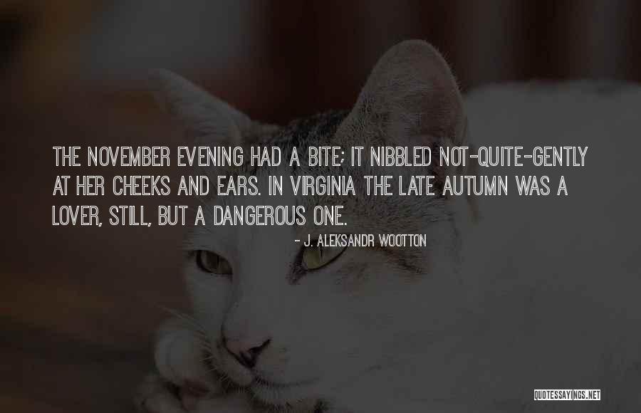 Surrealist Painters Quotes By J. Aleksandr Wootton Surrealist Painters Quotes By J. Aleksandr Wootton