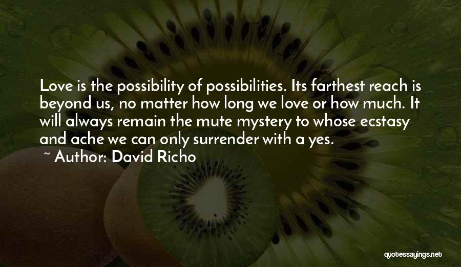 Surrender To Love Quotes By David Richo