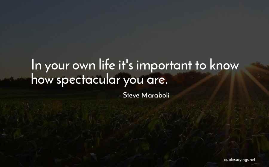 Surrendered Movie Quotes By Steve Maraboli Surrendered Movie Quotes By Steve Maraboli