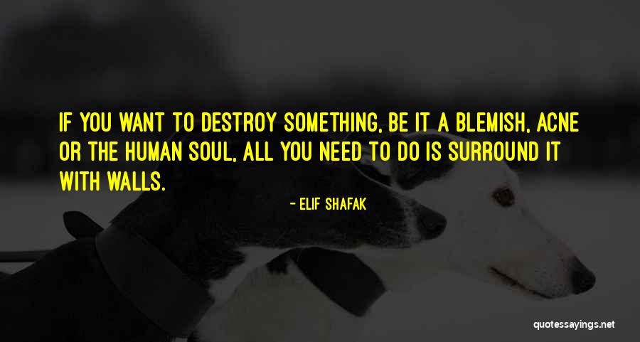 Surround Quotes By Elif Shafak