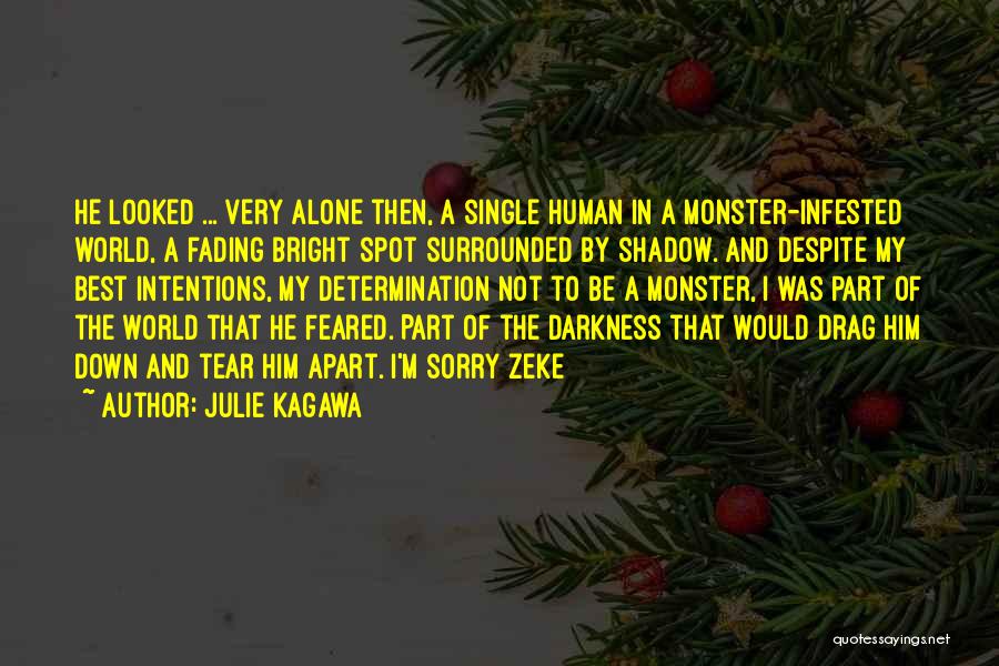 Surrounded By Darkness Quotes By Julie Kagawa