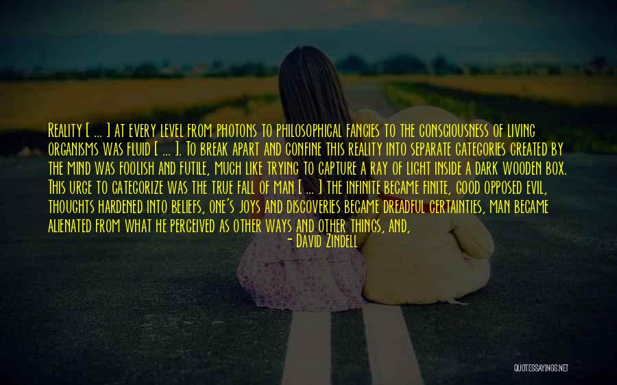 Surtain Quotes By David Zindell Surtain Quotes By David Zindell