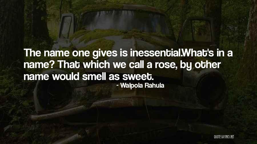 Suruga Quotes By Walpola Rahula Suruga Quotes By Walpola Rahula