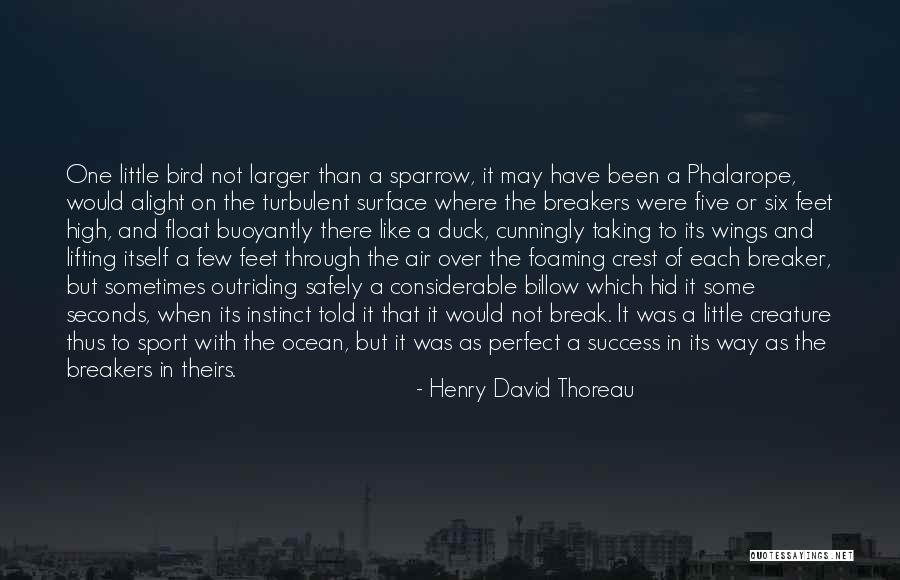 Surveyed Antonym Quotes By Henry David Thoreau Surveyed Antonym Quotes By Henry David Thoreau