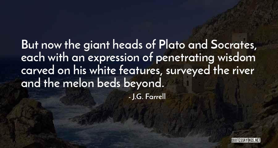 Surveyed Quotes By J.G. Farrell Surveyed Quotes By J.G. Farrell