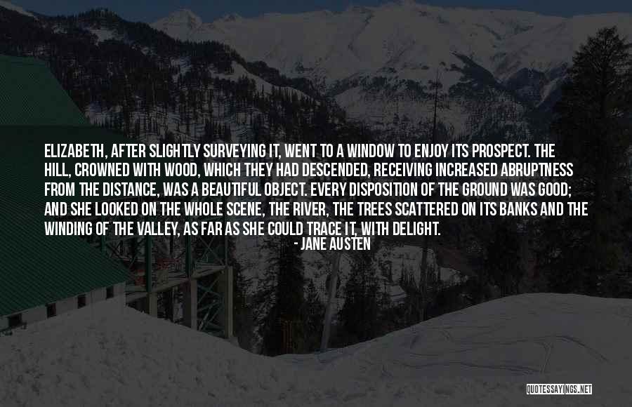 Surveying Quotes By Jane Austen Surveying Quotes By Jane Austen