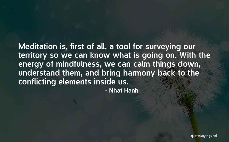 Surveying Quotes By Nhat Hanh Surveying Quotes By Nhat Hanh